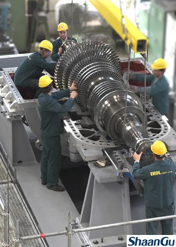 王慧：坚守在捷克的佰利乐“花木兰”