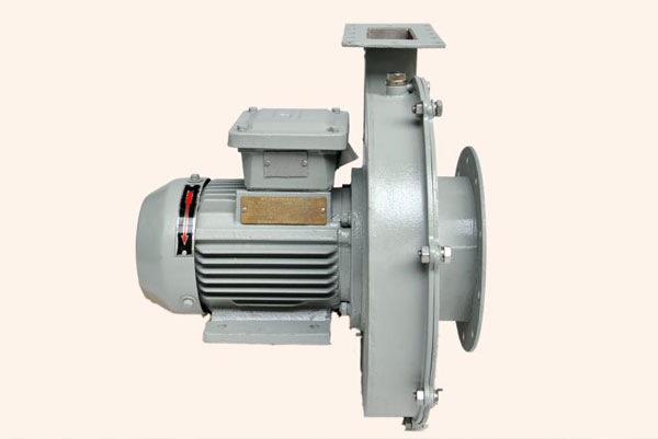 42feade4aa4a4fd78e57a30c49a755bc